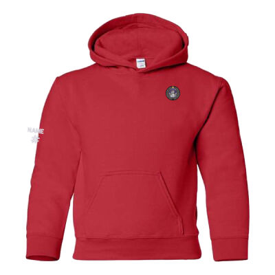 Gildan Youth Colourful Emblem Printed Hoodie Thumbnail